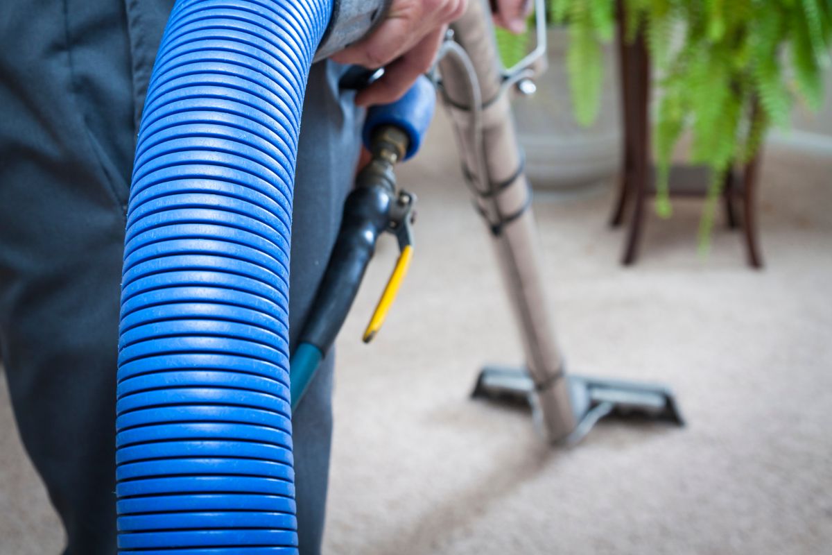 Should You Steam Clean or Shampoo Your Carpet? Pros & Cons for LA County Homes