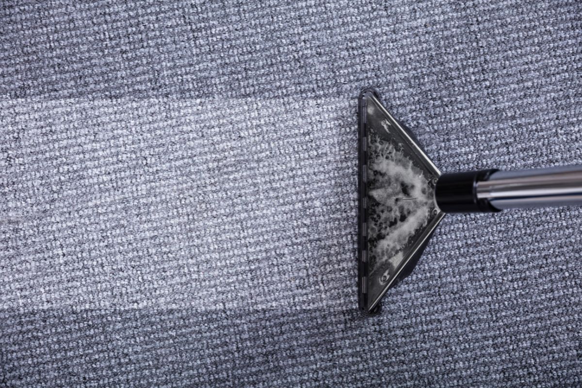 Top 7 Common Carpet Stains (and How Professionals Remove Them)