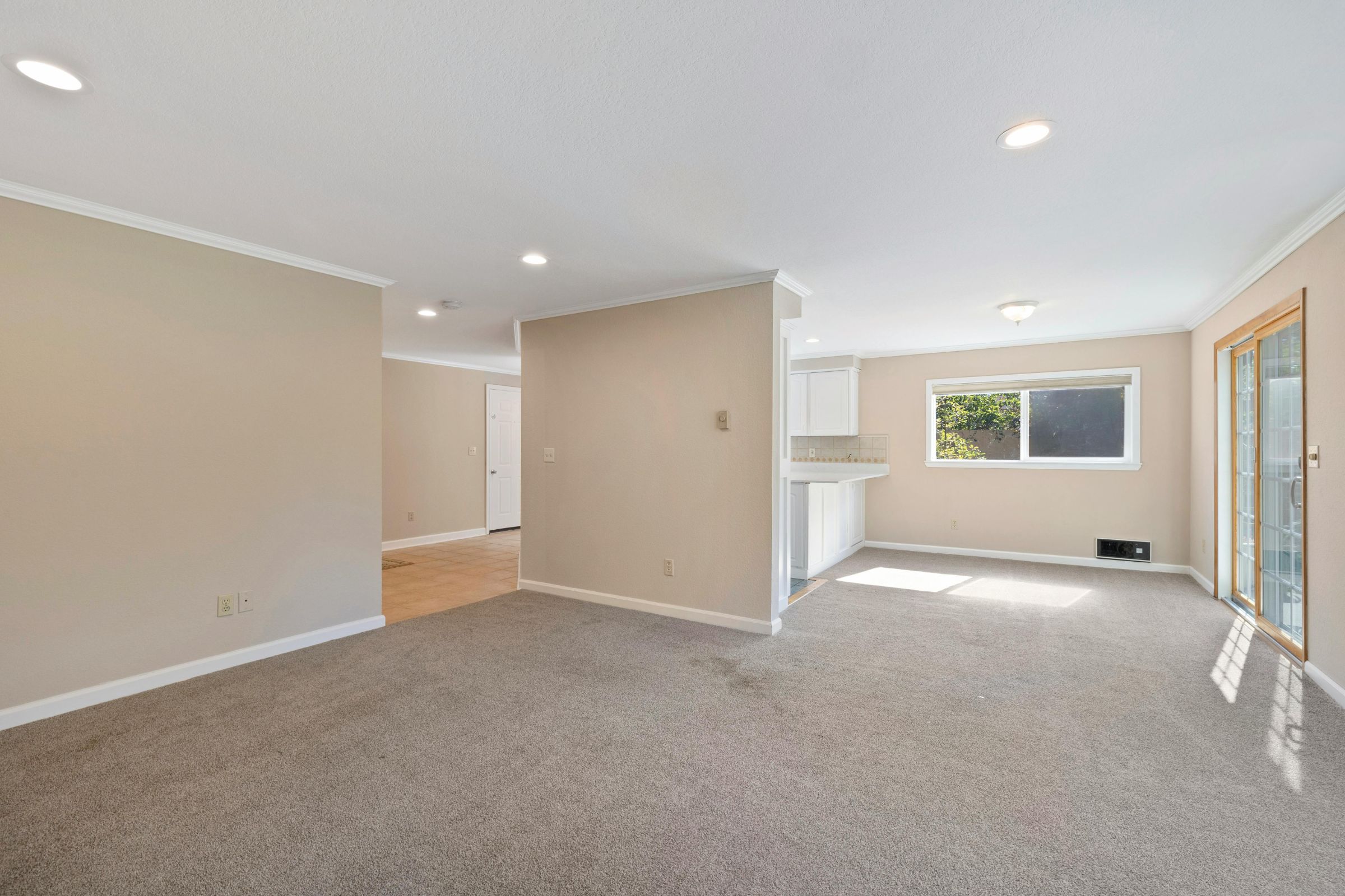 Move-In Carpet Cleaning: Why It’s Non-Negotiable for New Renters & Homeowners